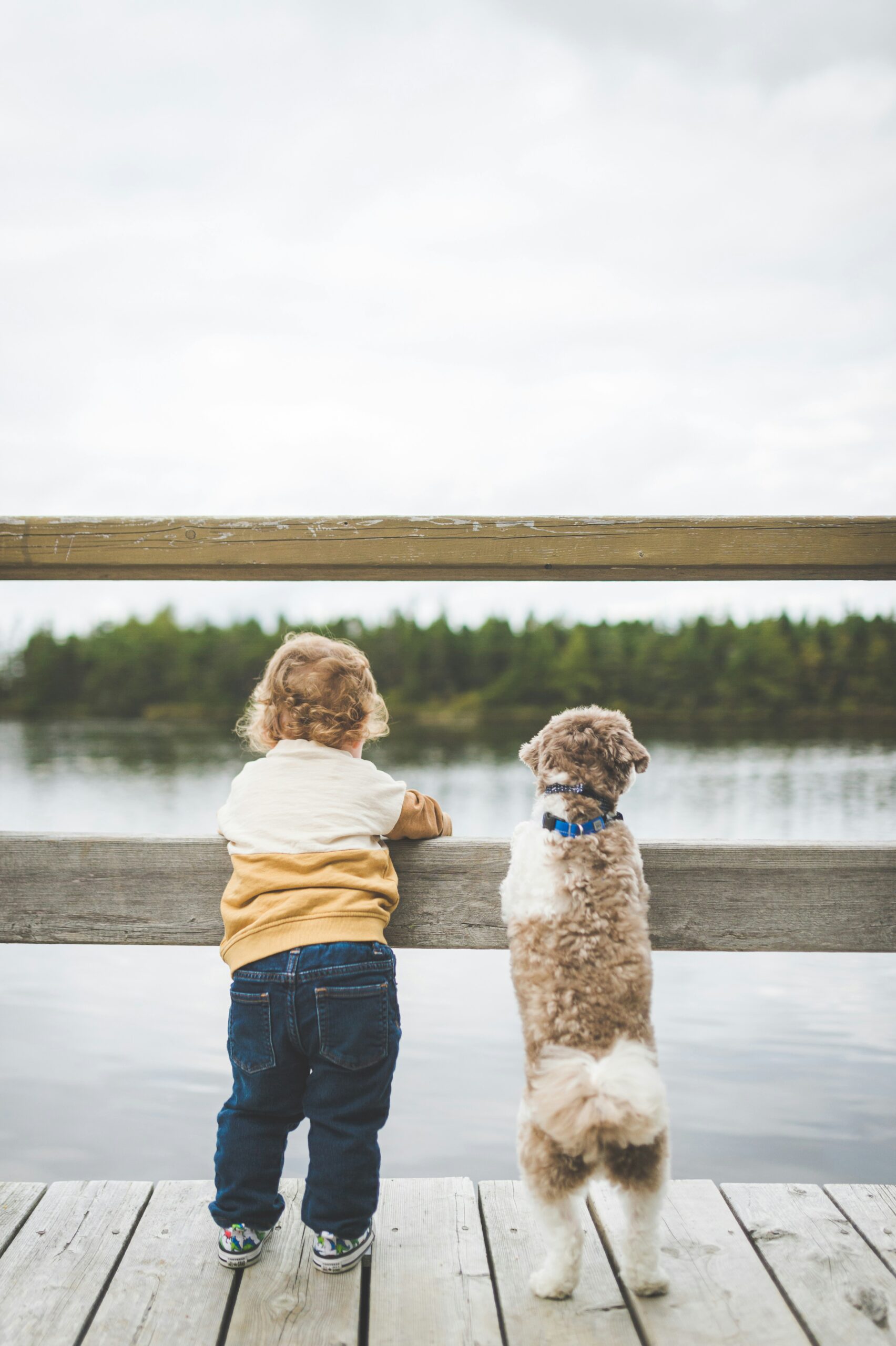 prepare your child for their first pet